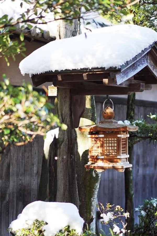 庭院·后花园论坛   冬